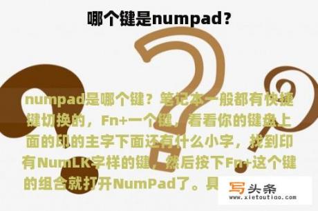 哪个键是numpad？