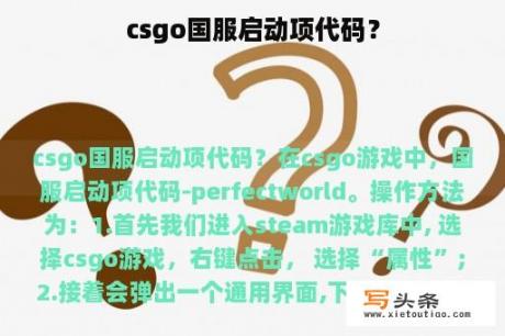 csgo国服启动项代码？