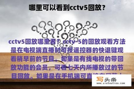 哪里可以看到cctv5回放？