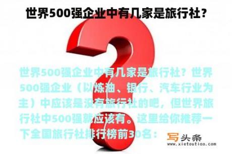 世界500强企业中有几家是旅行社？