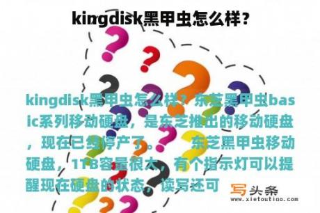 kingdisk黑甲虫怎么样？