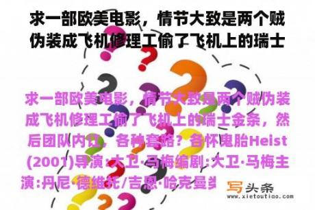 求一部欧美电影，情节大致是两个贼伪装成飞机修理工偷了飞机上的瑞士金条，然后团队内讧，各种套路？