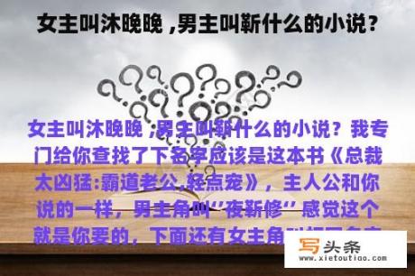 女主叫沐晚晚 ,男主叫靳什么的小说？