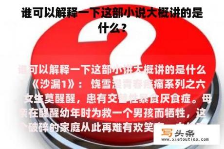 谁可以解释一下这部小说大概讲的是什么？