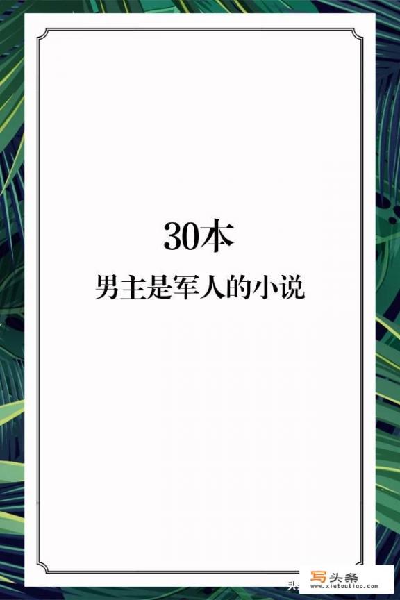 哪位好心人能推荐几本男主是军人或警察的言情小讲？