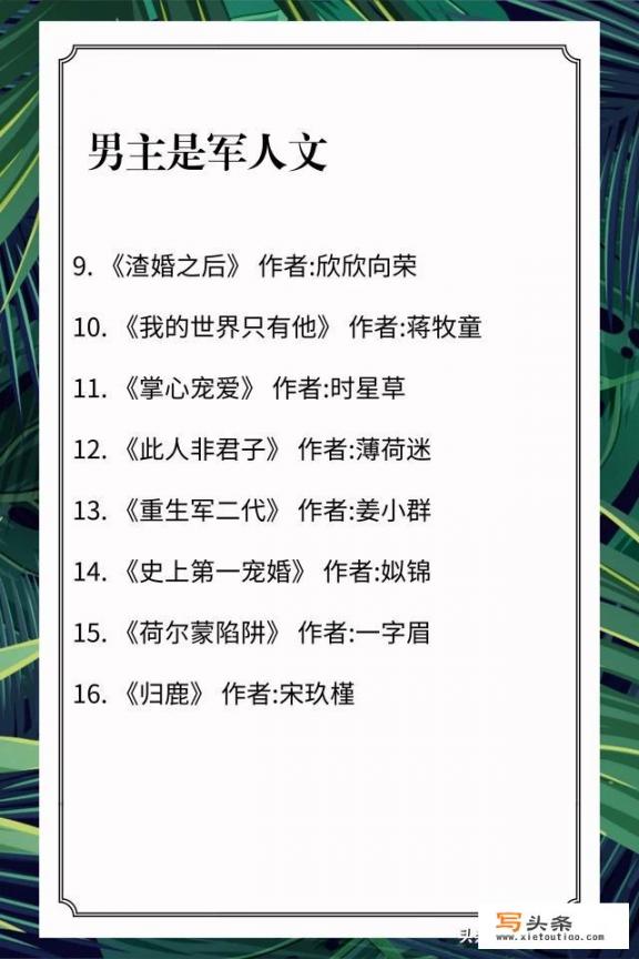 哪位好心人能推荐几本男主是军人或警察的言情小讲？