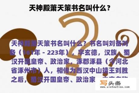 天神殿萧天策书名叫什么？