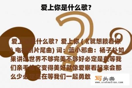 爱上你是什么歌？