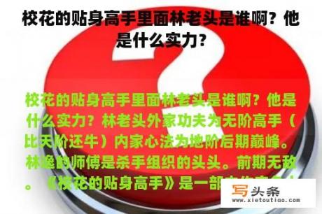 校花的贴身高手里面林老头是谁啊？他是什么实力？