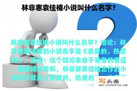 林非寒袁佳楠小说叫什么名字？