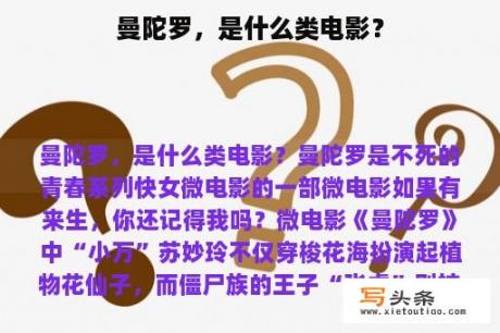 曼陀罗，是什么类电影？