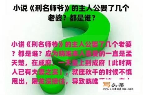 小说《刑名师爷》的主人公娶了几个老婆？都是谁？