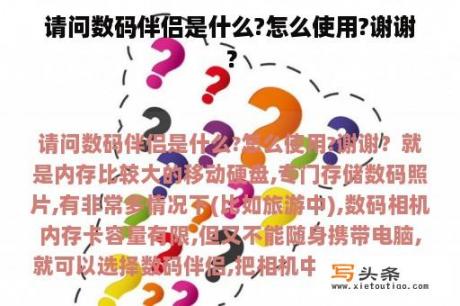 请问数码伴侣是什么?怎么使用?谢谢？