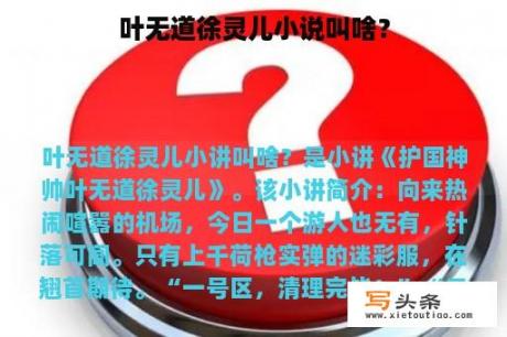 叶无道徐灵儿小说叫啥？