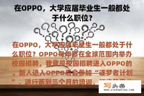 在OPPO，大学应届毕业生一般都处于什么职位？