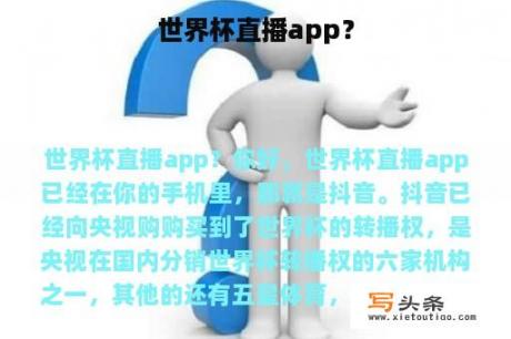 世界杯直播app？