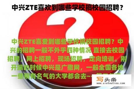 中兴ZTE喜欢到哪些学校搞校园招聘？