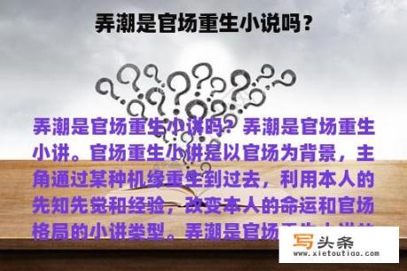 弄潮是官场重生小说吗？