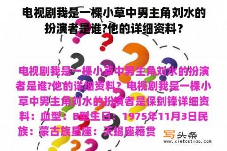 电视剧我是一棵小草中男主角刘水的扮演者是谁?他的详细资料？