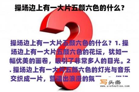 操场边上有一大片五颜六色的什么？