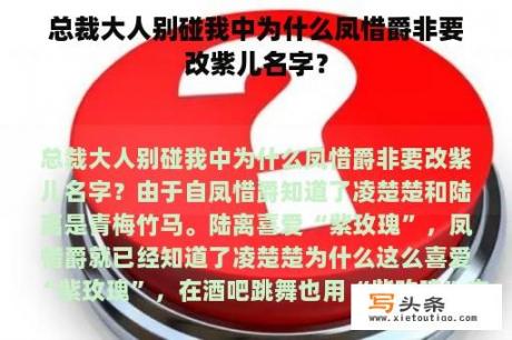 总裁大人别碰我中为什么凤惜爵非要改紫儿名字？