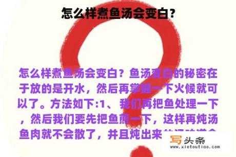 怎么样煮鱼汤会变白？