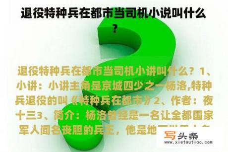 退役特种兵在都市当司机小说叫什么？