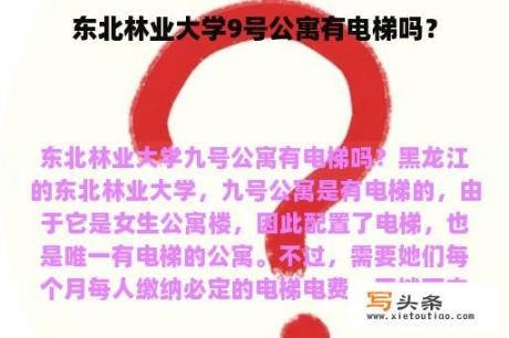 东北林业大学9号公寓有电梯吗？