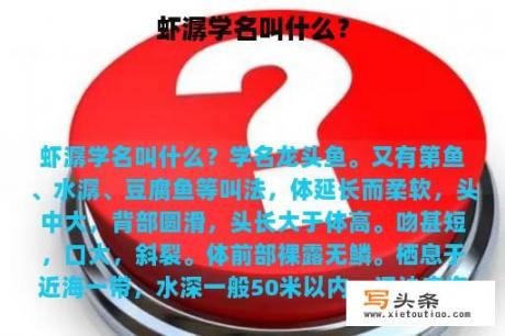 虾潺学名叫什么？