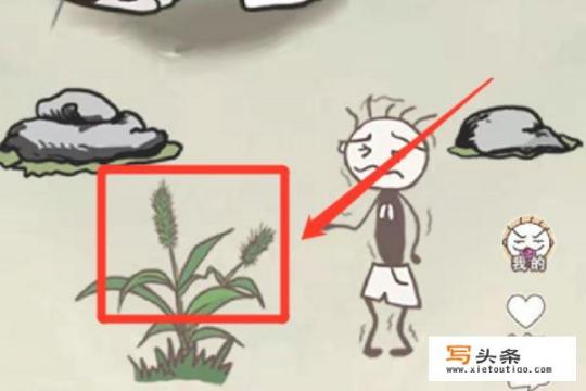 史上最坑爹的游戏14通关攻略？