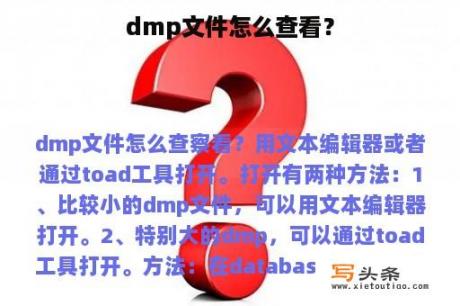 dmp文件怎么查看？