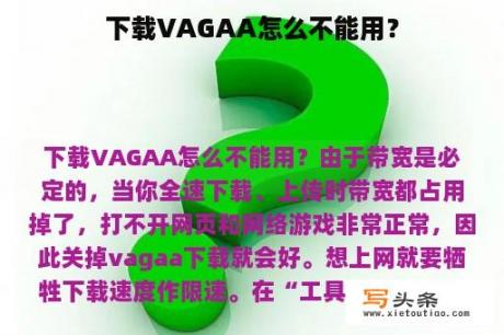 下载VAGAA怎么不能用？