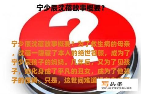 宁少辰沈蓓故事概要？