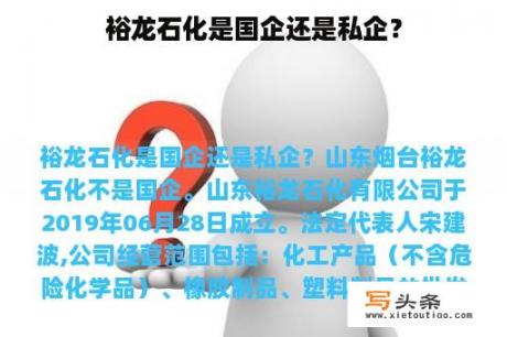 裕龙石化是国企还是私企？