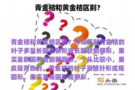 青金桔和黄金桔区别？