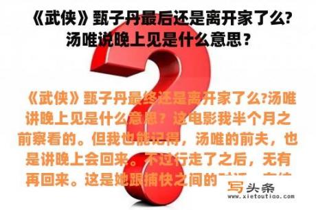 《武侠》甄子丹最后还是离开家了么?汤唯说晚上见是什么意思？