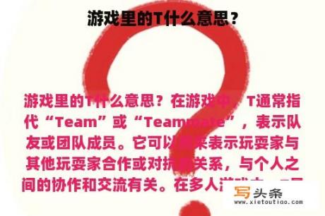 游戏里的T什么意思？