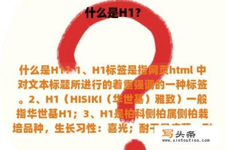 什么是H1？