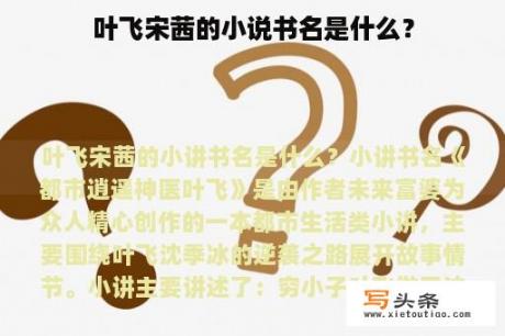 叶飞宋茜的小说书名是什么？