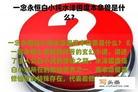 一念永恒白小纯水泽国度本命兽是什么？