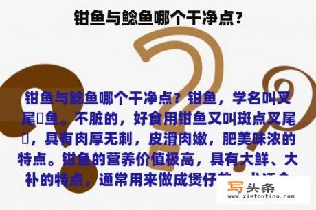 钳鱼与鲶鱼哪个干净点？