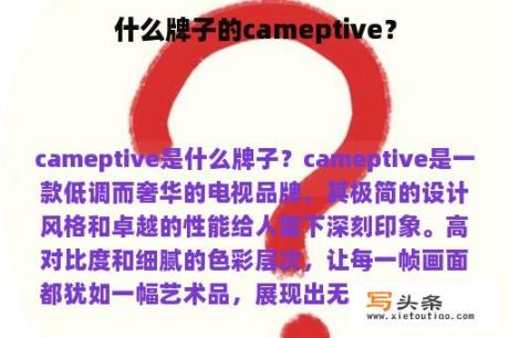 什么牌子的cameptive？