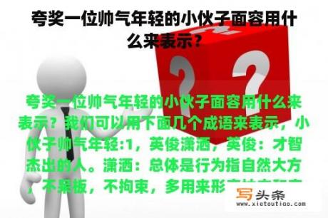 夸奖一位帅气年轻的小伙子面容用什么来表示？