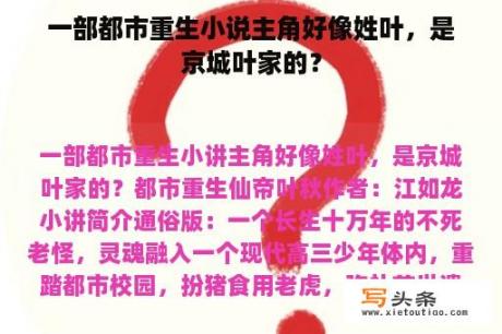 一部都市重生小说主角好像姓叶，是京城叶家的？