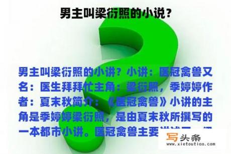 男主叫梁衍照的小说？