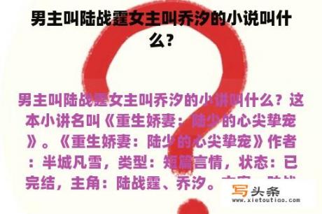 男主叫陆战霆女主叫乔汐的小说叫什么？