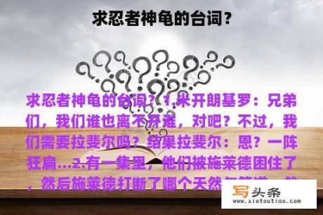 求忍者神龟的台词？