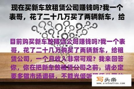 现在买新车放租赁公司赚钱吗?我一个表哥，花了二十几万买了两辆新车，给租赁公司，一个月收入很可观？