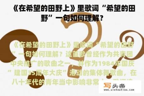 《在希望的田野上》里歌词“希望的田野”一句如何理解？