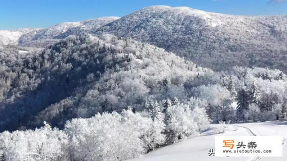 想在黑龙江一带寻找一处山野山林过隐居生活，有合适的地方吗？